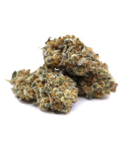 Alien Diesel