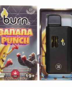Burn 3mL Disposable Vapes – Banana Punch THC Distillate